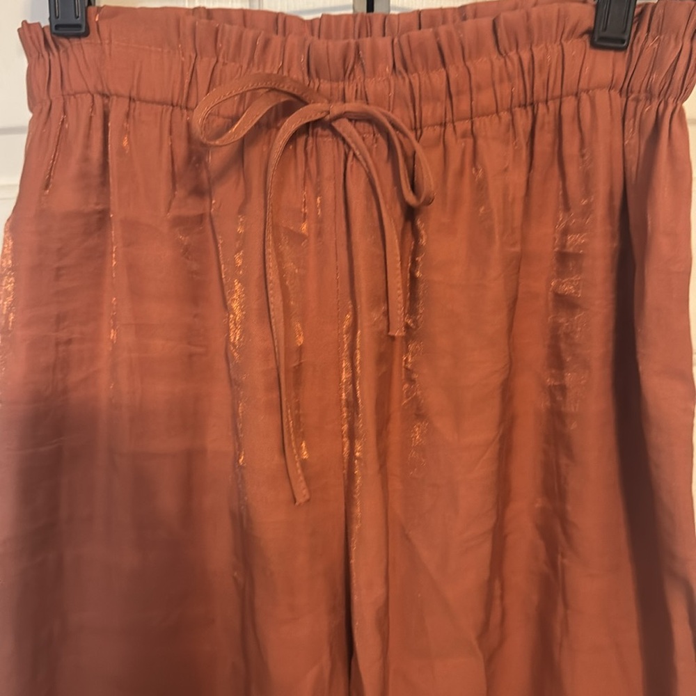 BY SWAN PARIS Orange Pant with Gold Sheen throughout that is simply divine - Picture 7 of 16